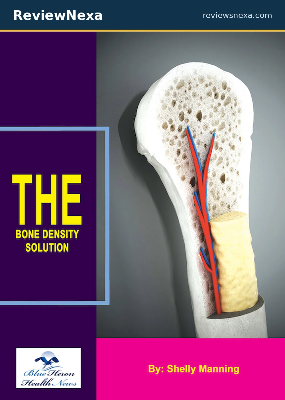 Bone Density Solution Review: What's Inside the 14-Step Bone